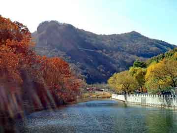 管家婆黑白马报图库，天与地结局